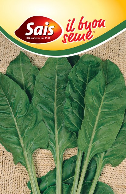 Bietola liscia verde da taglio - 100 grammi - 230 ESAURIM.