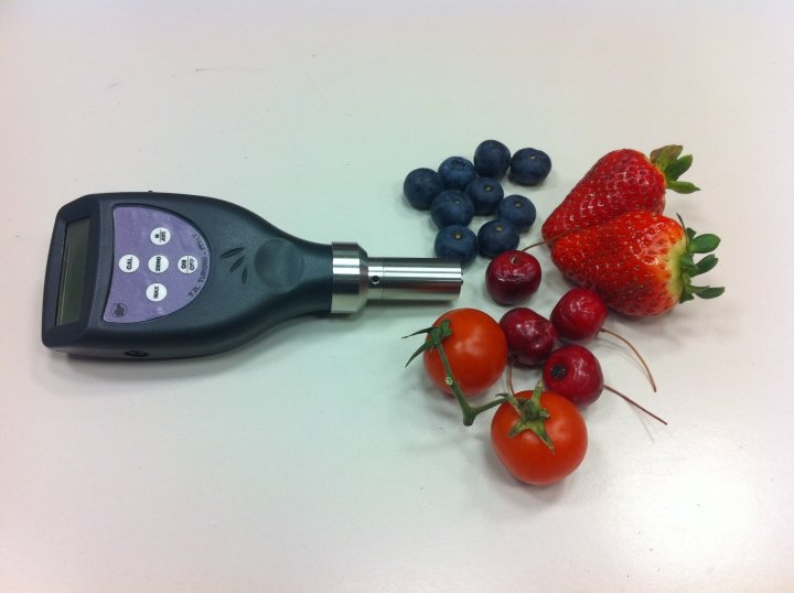 Blueberry, strawberry and table grape durometer, Ø 2,38 mm