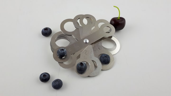 Calibro per mirtilli da 15 a 32 mm