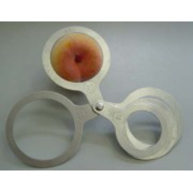 Calibro per pesche
