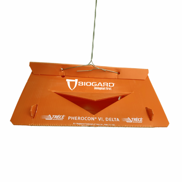 Kit BDT per il monitoraggio della tignola della vite