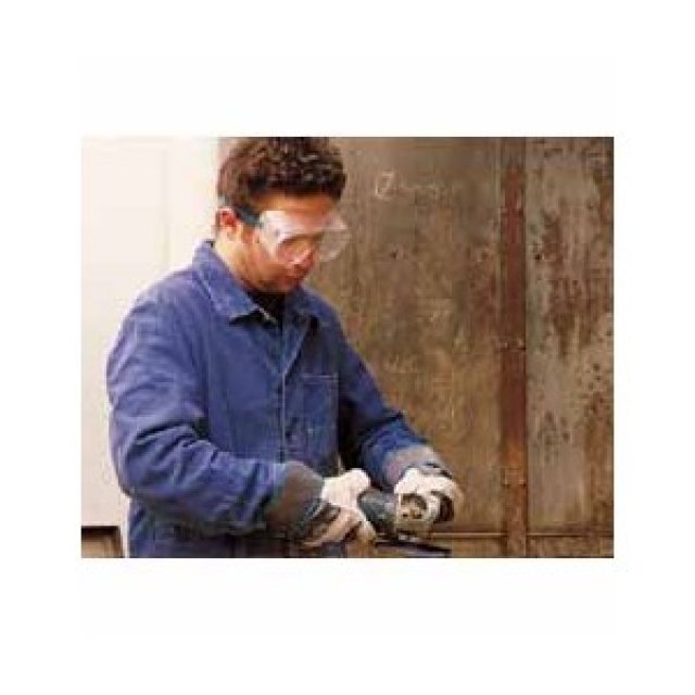 Protective goggles - WHILE SUPPLIES LAST